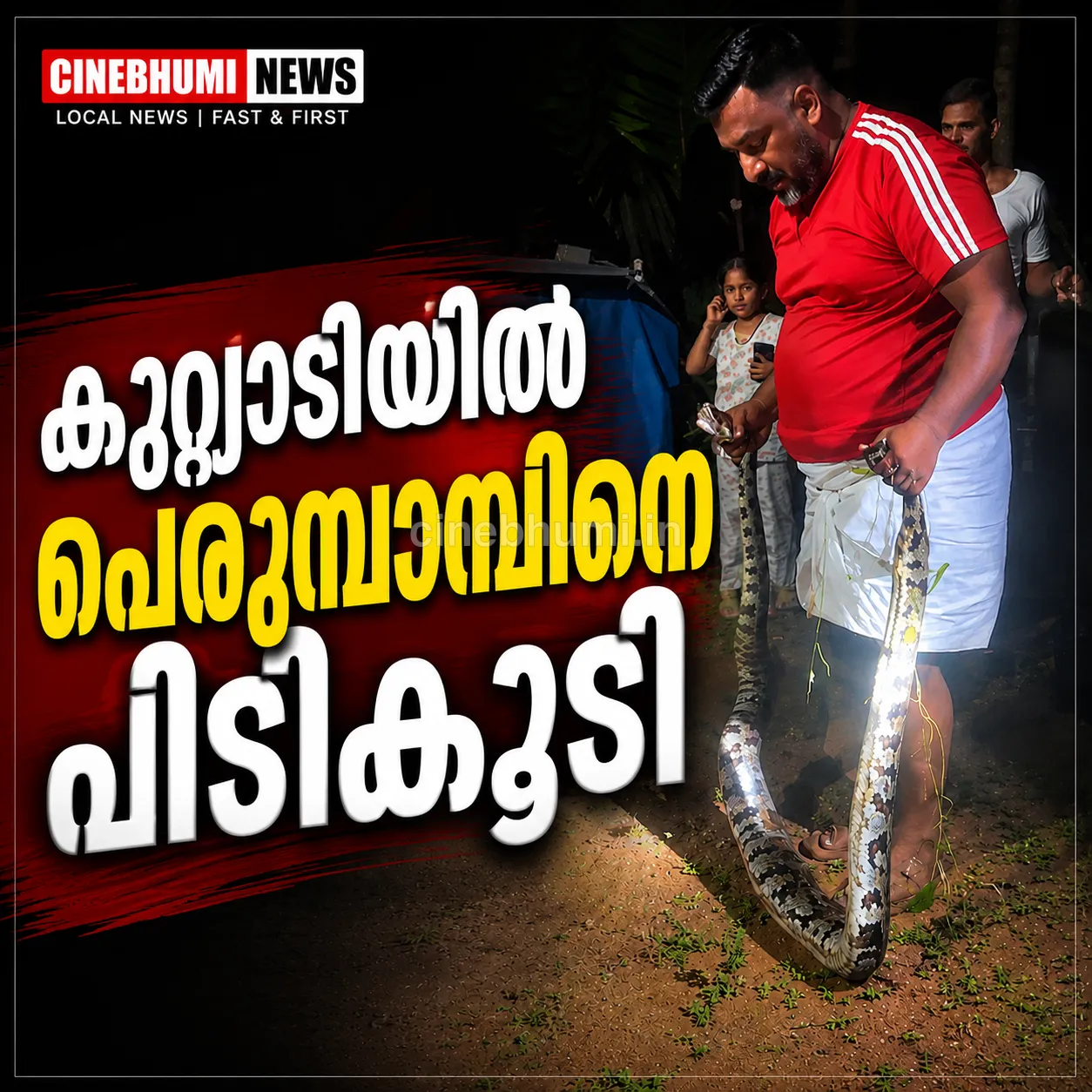 കുറ്റ്യാടി കെ.ഇ.ടി സ്കൂളിന് സമീപം പെരുമ്പാമ്പിനെ പിടികൂടി