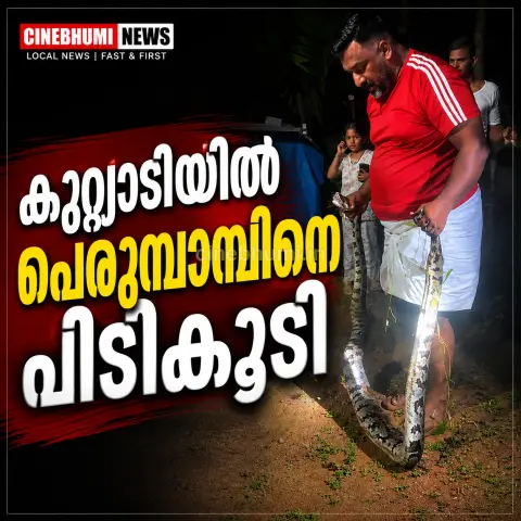 കുറ്റ്യാടി കെ.ഇ.ടി സ്കൂളിന് സമീപം പെരുമ്പാമ്പിനെ പിടികൂടി