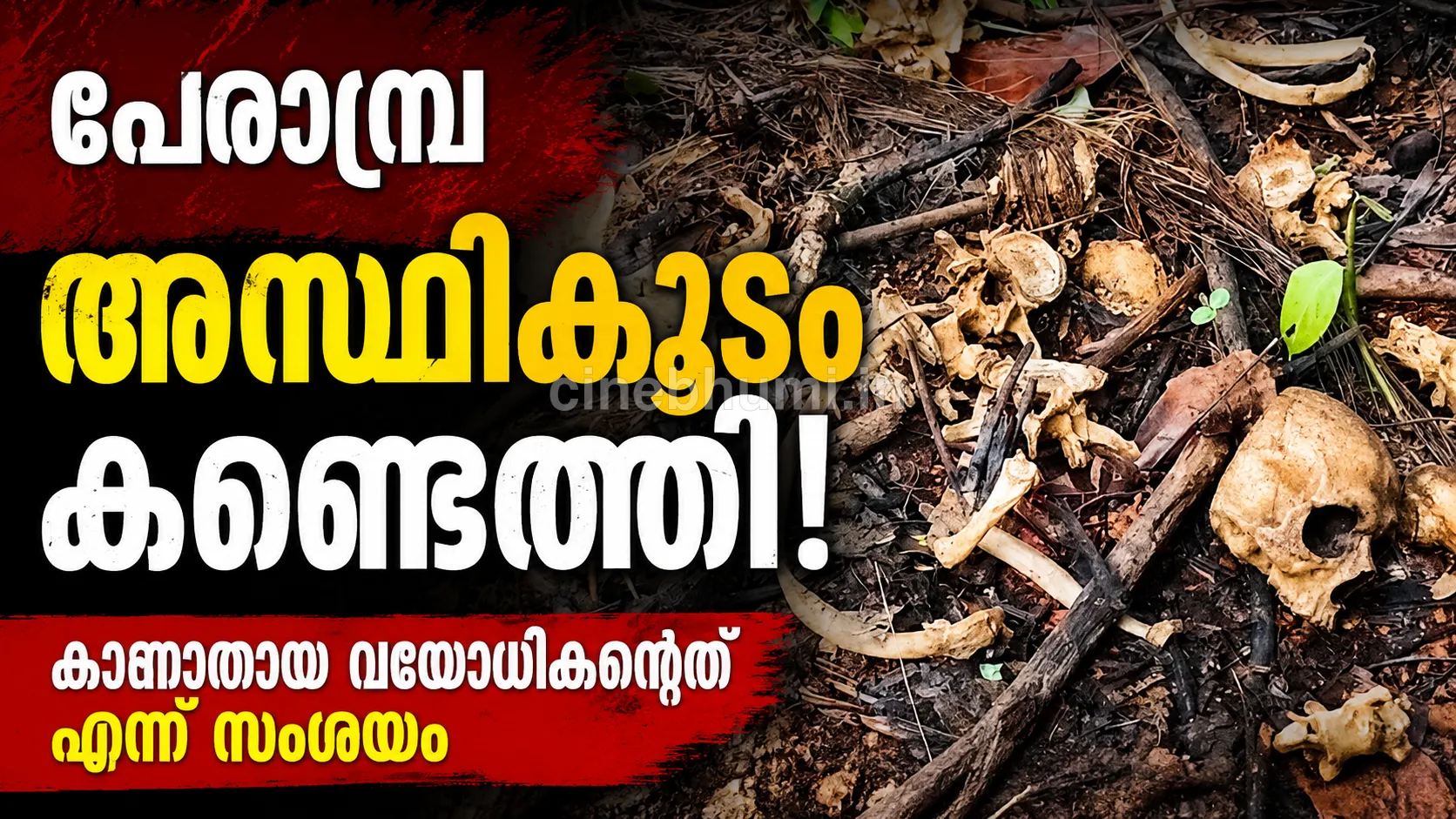 മനുഷ്യന്റെ അസ്ഥിക്കൂടം കണ്ടെത്തി സംഭവം പേരാമ്പ്ര ചാലിക്കരയിൽ