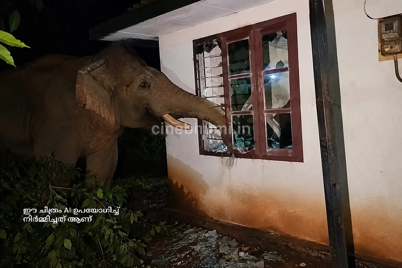 മലപ്പുറം ജനവാസ മേഖലയിൽ കാട്ടാന ആക്രമണം; ഉറങ്ങിക്കിടന്ന കുടുംബം അത്ഭുതകരമായി രക്ഷപ്പെട്ടു