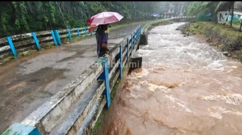 തലയാട് മേഖലയിൽ കനത്ത മഴ; പൂനൂർ പുഴയിൽ ജലനിരപ്പ് ഉയർന്നു, താഴ്ന്ന പ്രദേശങ്ങൾക്ക് ജാഗ്രത