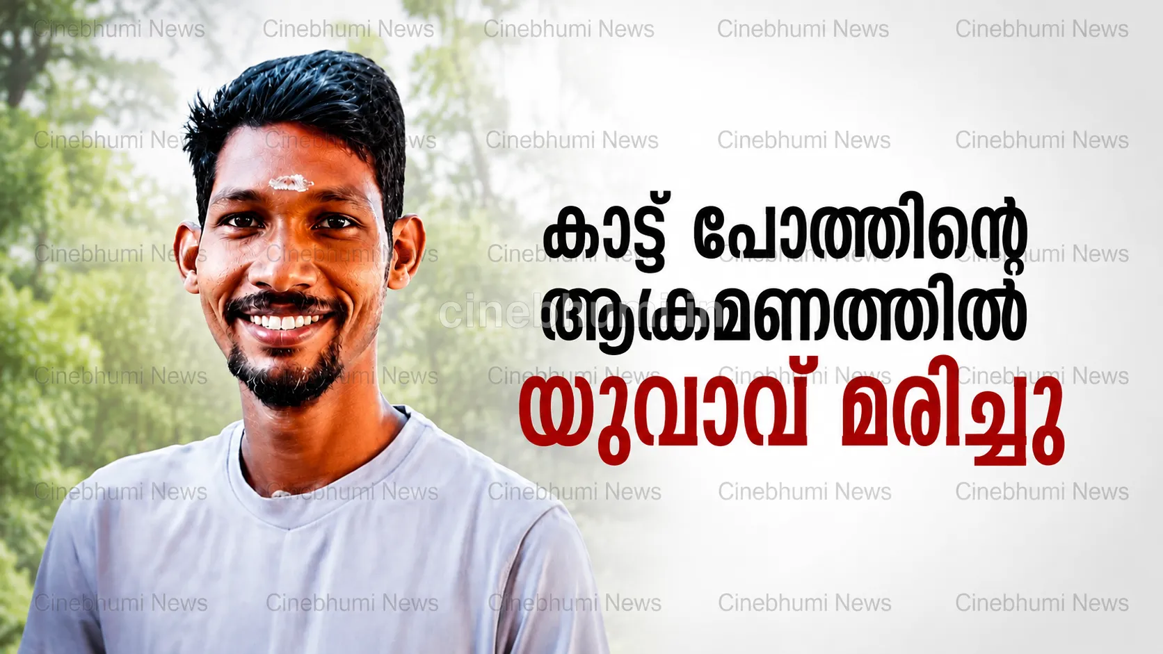 കാട്ടുപോത്തിന്റെ ആക്രമണത്തിൽ യുവാവ് മരിച്ചു;