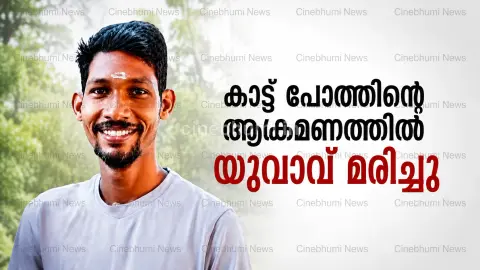 കാട്ടുപോത്തിന്റെ ആക്രമണത്തിൽ യുവാവ് മരിച്ചു;
