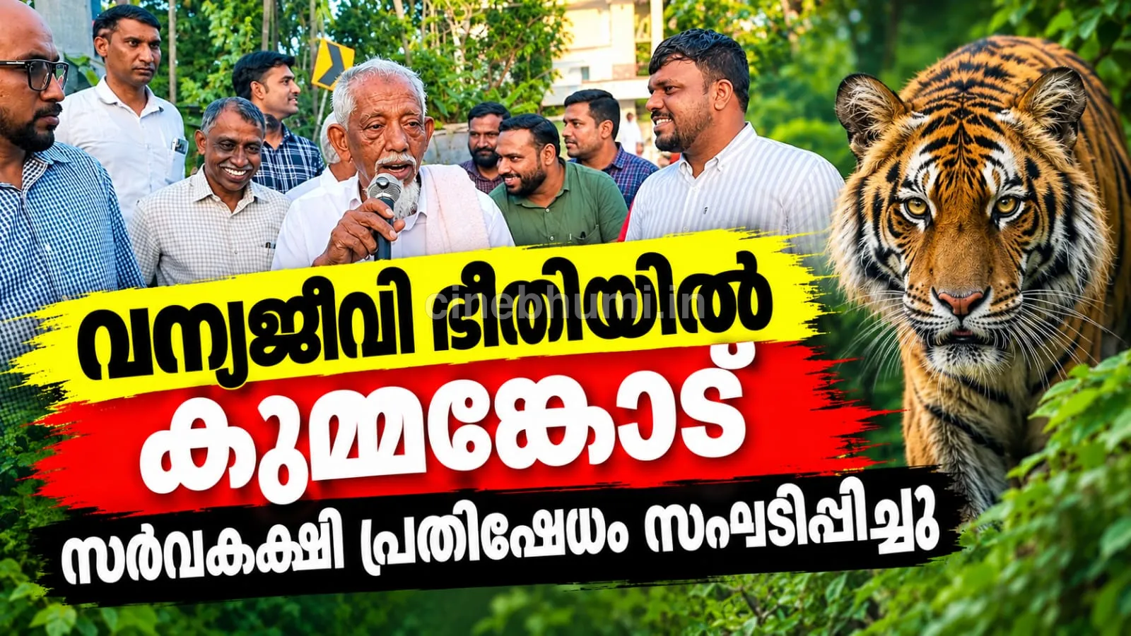 വന്യജീവി ഭീതിയിൽ കുമ്മങ്കോട്;  സാധാരണ ജീവിതം പോലും ബുദ്ധിമുട്ടിൽ