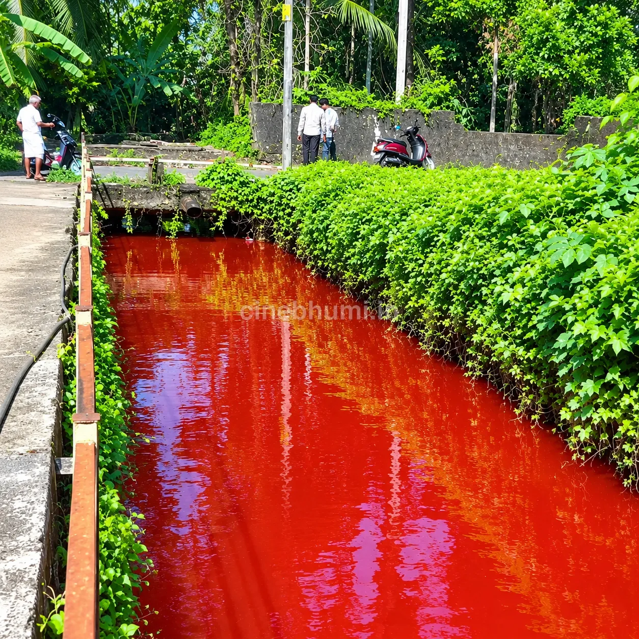 പേരാമ്പ്ര മരക്കാടി തോട്ടിൽ ചുവന്ന വെള്ളമൊഴുക്ക്; ജാഗ്രതാ നിർദേശവുമായി ആരോഗ്യവകുപ്പ്